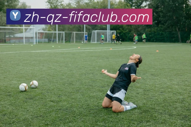 多媒体互动体验